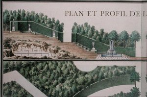 Plan en dwarsdoorsnede van het bos, uit 
