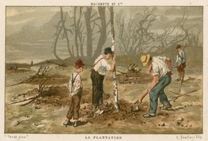 Bomen planten door French School