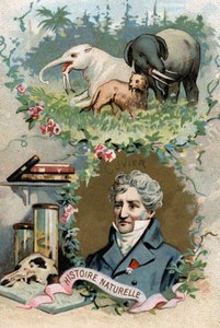 Portret van Baron Georges Cuvier, Franse zoöloog en paleontoloog (1769-1832), grondlegger van de vergelijkende anatomie. Chromolithografie van de 19e eeuw door French School