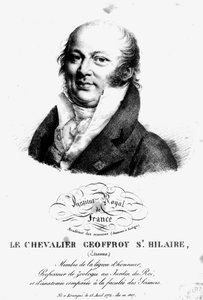 Portret van Etienne Geoffroy Saint-Hilaire (1722-1844) door French School