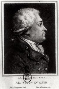 Portret van Felix Vicq d