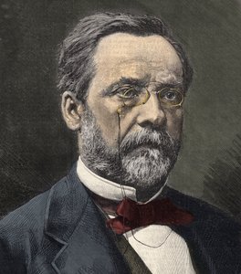 Portret van Louis Pasteur (1822-1895), Engelse chemicus en microbioloog
