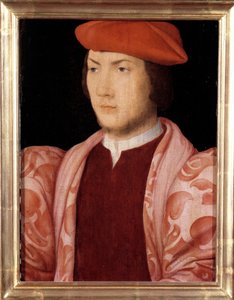 Portret van Odet de Coligny, kardinaal van Chatillon in 1534 (kleinzoon van Gaspard de Coligny, Maarschalk van Frankrijk en broer van Admiraal Gaspard de Coligny) (1517-1571) rond 1535 Schilderij van de Franse School van de 16e eeuw. Versailles door French School
