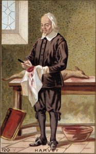 Portret van William Harvey (1578-1657), Engelse arts door French School