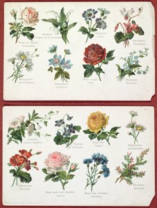 Ansichtkaarten die de taal en betekenis van bloemen weergeven, ca. 1905 door French School