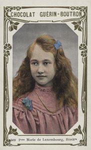 Prinses Marie van Luxemburg, Erfgename door French School