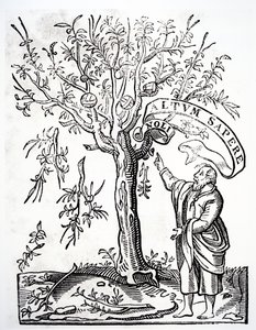 Drukkers embleem van Robert Estienne, Parijs, 1526