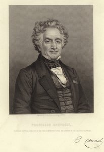 Professor Chevreul door French School