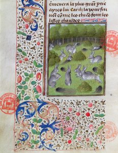 Konijnenhol, uit het Livre de la Chasse door Gaston Phebus de Foix (1331-91)