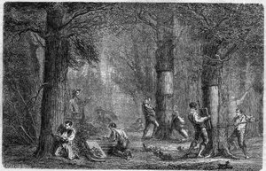 Verzameling van de schors van kurkeik. Gravure in "Histoire des plantes" door Louis Figuier gepubliceerd in "Le Monde Illustré" nr. 399 van 3 december 1864 door French School