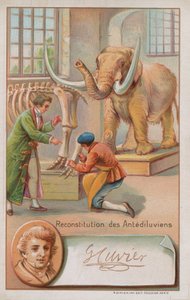 Reconstructie van het antediluviaanse tijdperk door Georges Cuvier, Franse natuuronderzoeker en zoöloog (1769-1832)