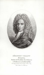 Sébastien Vaillant