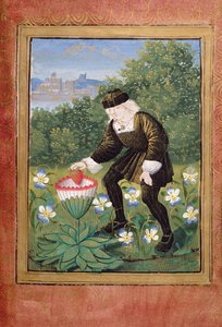 Miniatuur van Pierre Sala die 