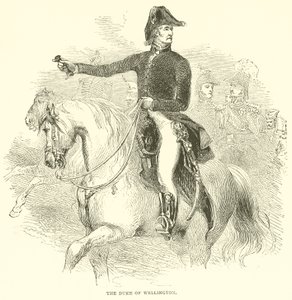 De hertog van Wellington (gravure) door French School