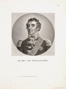 De hertog van Wellington
