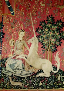 De Dame en de Eenhoorn: Zicht