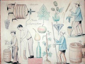 De Maand Oktober: Wijnproductie door French School