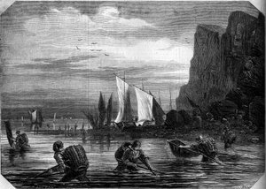 De garnalenvisserij in de omgeving van Le Havre, Seine-Maritime (76)