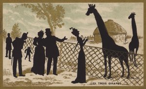 De drie giraffen