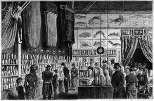 De zoölogische tentoonstelling in het Natuurhistorisch Museum in Parijs, collecties verzameld tijdens de wetenschappelijke expedities van de Worker en Talisman schepen.