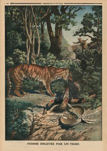 Tijger die een vrouw aanvalt, achteromslag illustratie van 