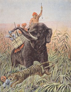 Tijgerjacht, India (kleurenlitho) door French School