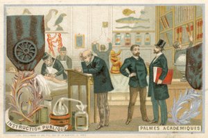 Handelskaart met een afbeelding van de Ordre des Palmes Academiques door French School