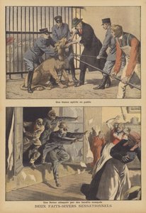 Twee sensationele nieuwsberichten (kleurenlitho)