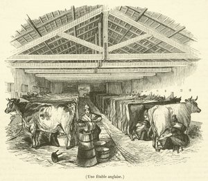 Een Engelse stal (gravure)