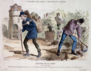Wijnbouw in de 15e eeuw - in Costume de Paris door de eeuwen heen door French School