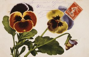 Vintage Franse ansichtkaart met bloemversieringen door French School
