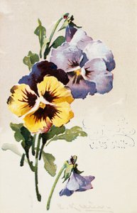 Vintage Franse ansichtkaart met bloemversieringen door French School