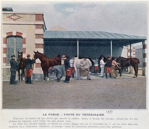 Bezoek van de legerdierenarts aan de kazerne, 1897