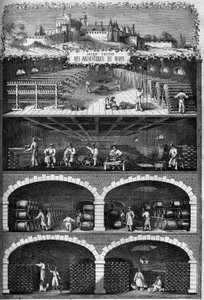 Wijnbouw: uitzicht op de champagnekelders in de kelders van het oude kasteel van de aartsbisschoppen van Reims, Marne door French School