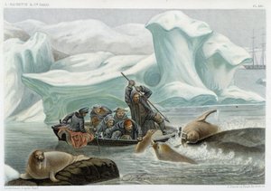 Walrusjacht - in 