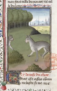 Wilde katten, uit het Livre de la Chasse door Gaston Phebus de Foix (1331-91) door French School