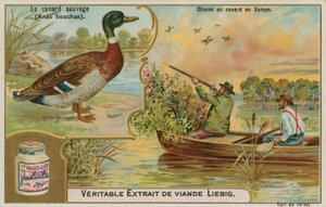 Wilde eend; eendenjacht in Europa door French School