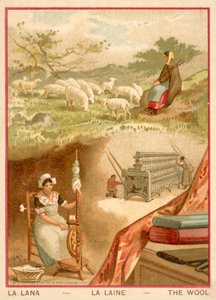 Wol (chromolitho) door French School