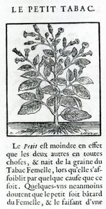 Le Perit Tabac, illustratie uit Discours du Tabac door Jean Le Royer de Prade, 1671 door French School