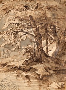 Boomstudie door Friedrich August Mathias Gauermann