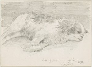 Hondenstudies door Friedrich August von Kaulbach