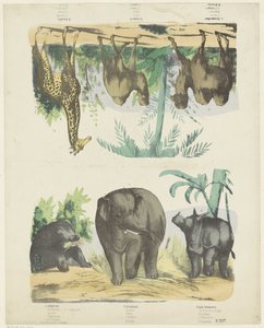 Wilde dieren