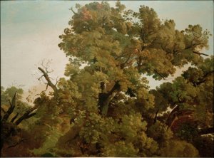 Eik door Friedrich Nerly