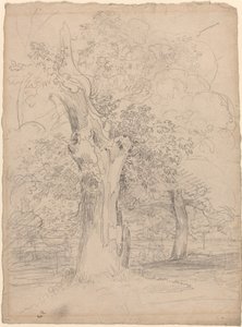 Een oude boom met figuren in een landschap door Friedrich Salathé