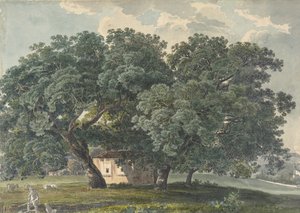Italiaans landschap met bomen, 1815-21 door Friedrich Salathé