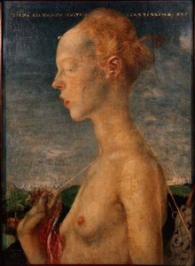 Diana de Jageres