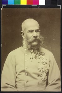Franz Joseph I door Fritz Luckhardt