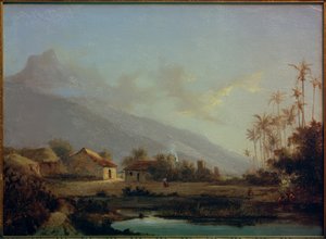 Tropisch landschap