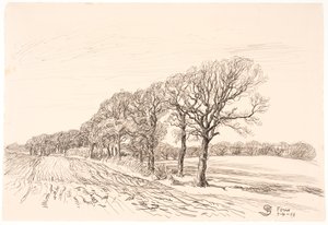 Landschap met eiken. Føns