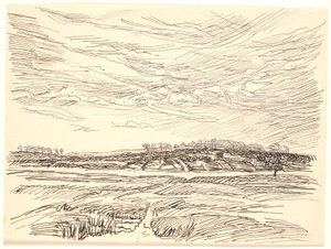Landschap met velden